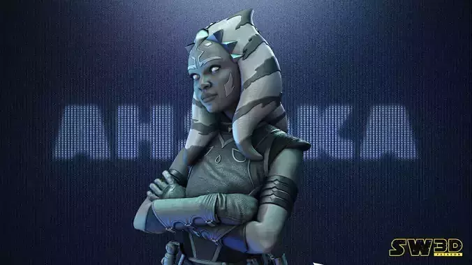 STAR WARS Ahsoka Tano Bust Tested for 3D printing 3D print model