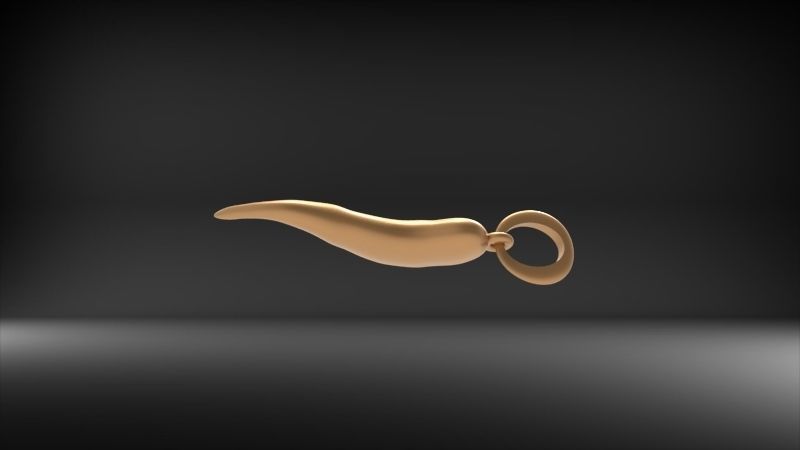 Italian Horn Pendant charm necklace jewelry 3D print model_4