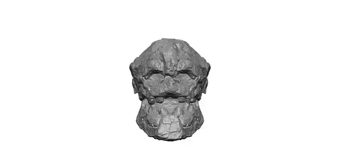 Stone Golem head  Stand 3D print model