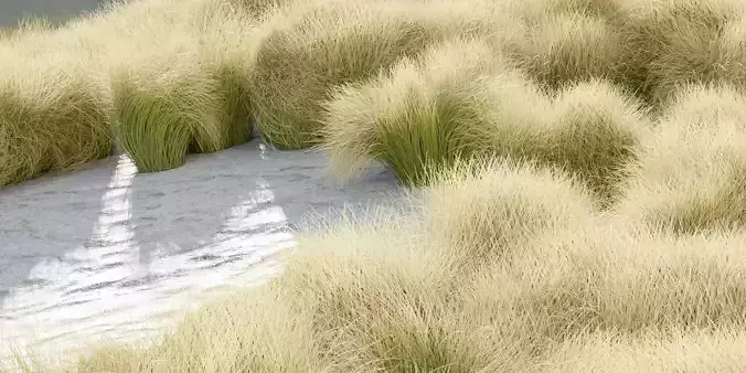 Maram Grass collection vol 155-Blender