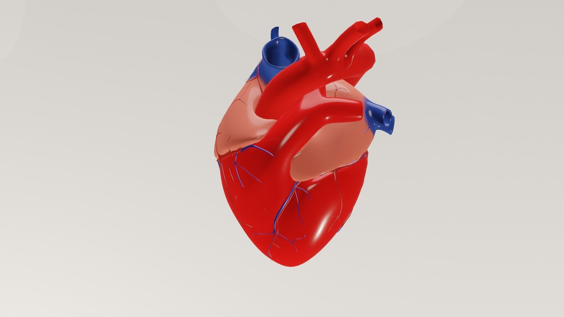 human heart Low-poly 3D model_1