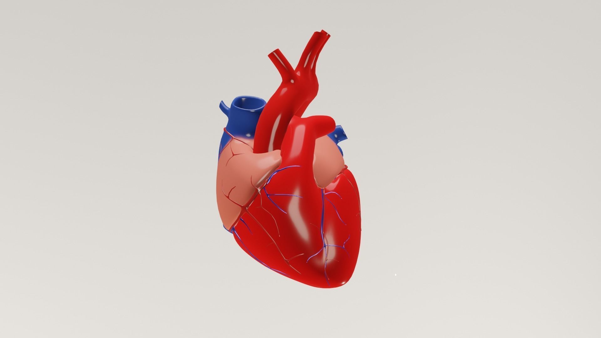 human heart Low-poly 3D model_8