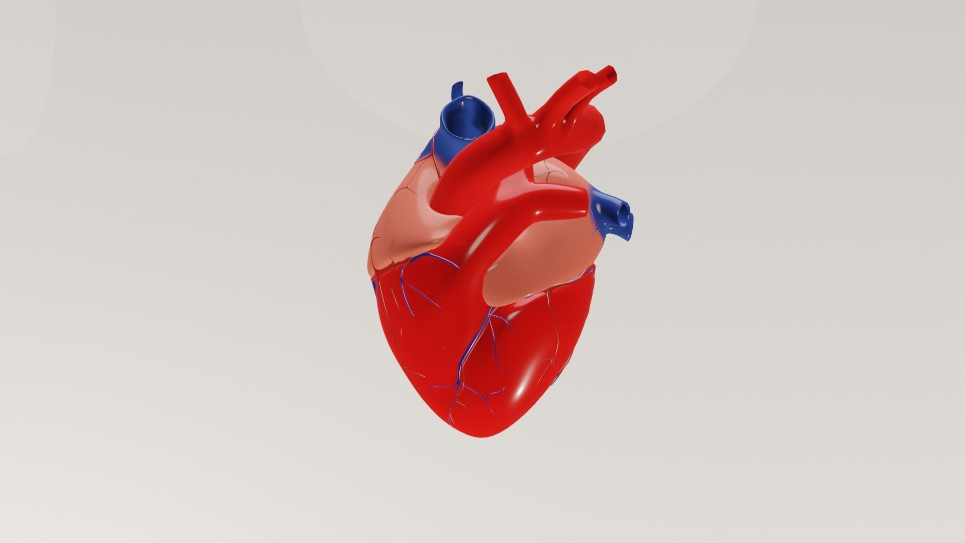 human heart Low-poly 3D model_5