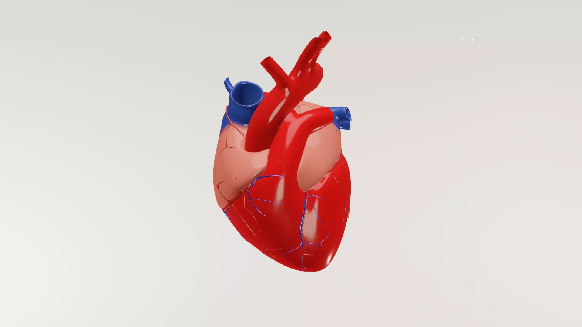 human heart Low-poly 3D model_0