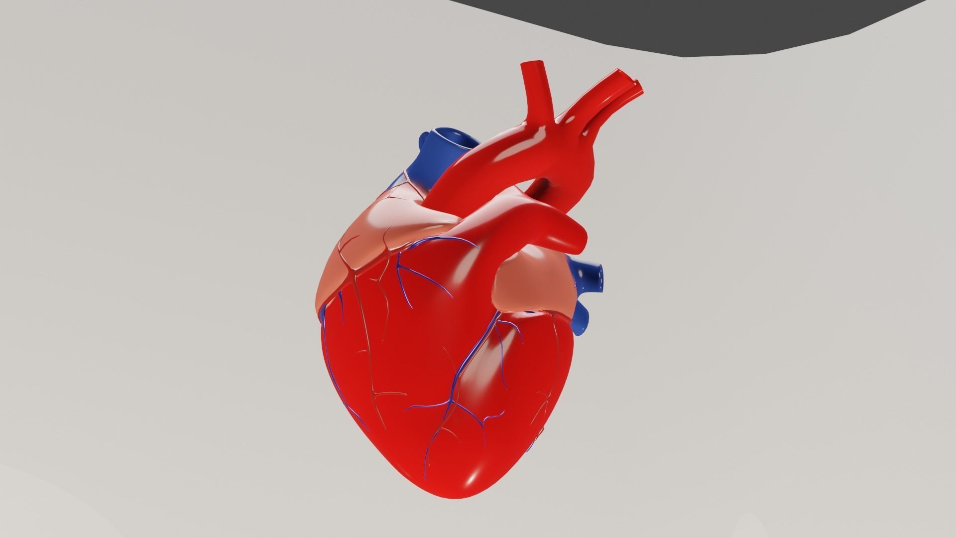 human heart Low-poly 3D model_3