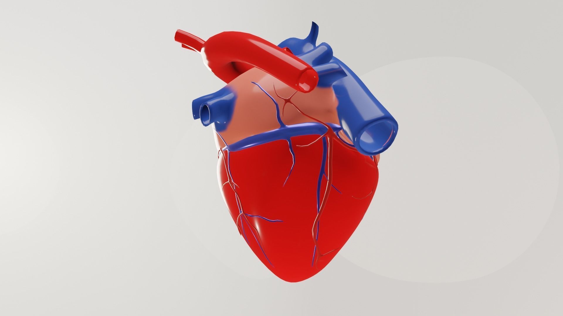 human heart Low-poly 3D model_4