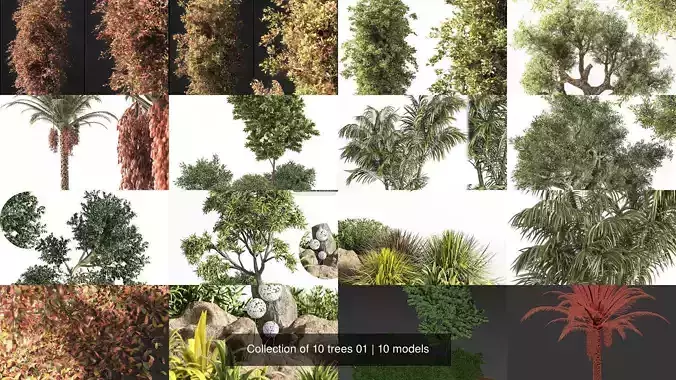 Collection of 10 trees 01 