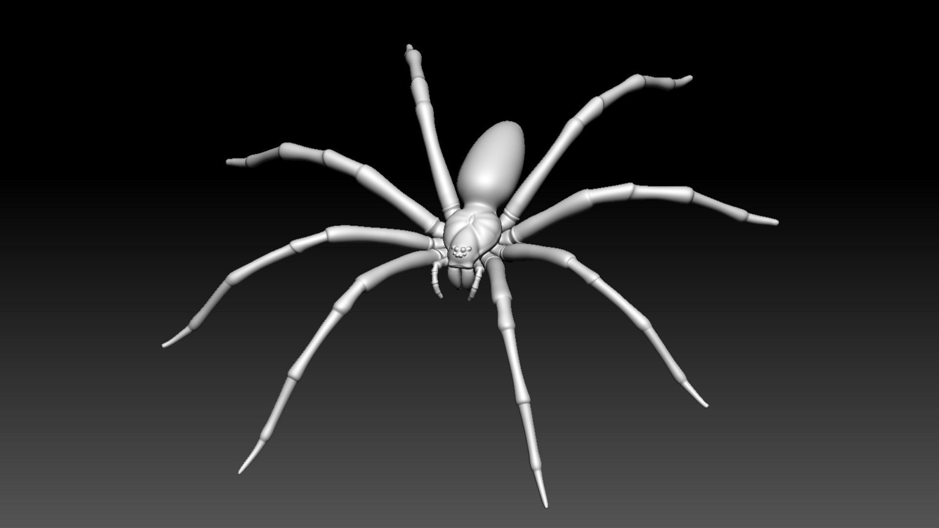 Spider Pack 3D model_105
