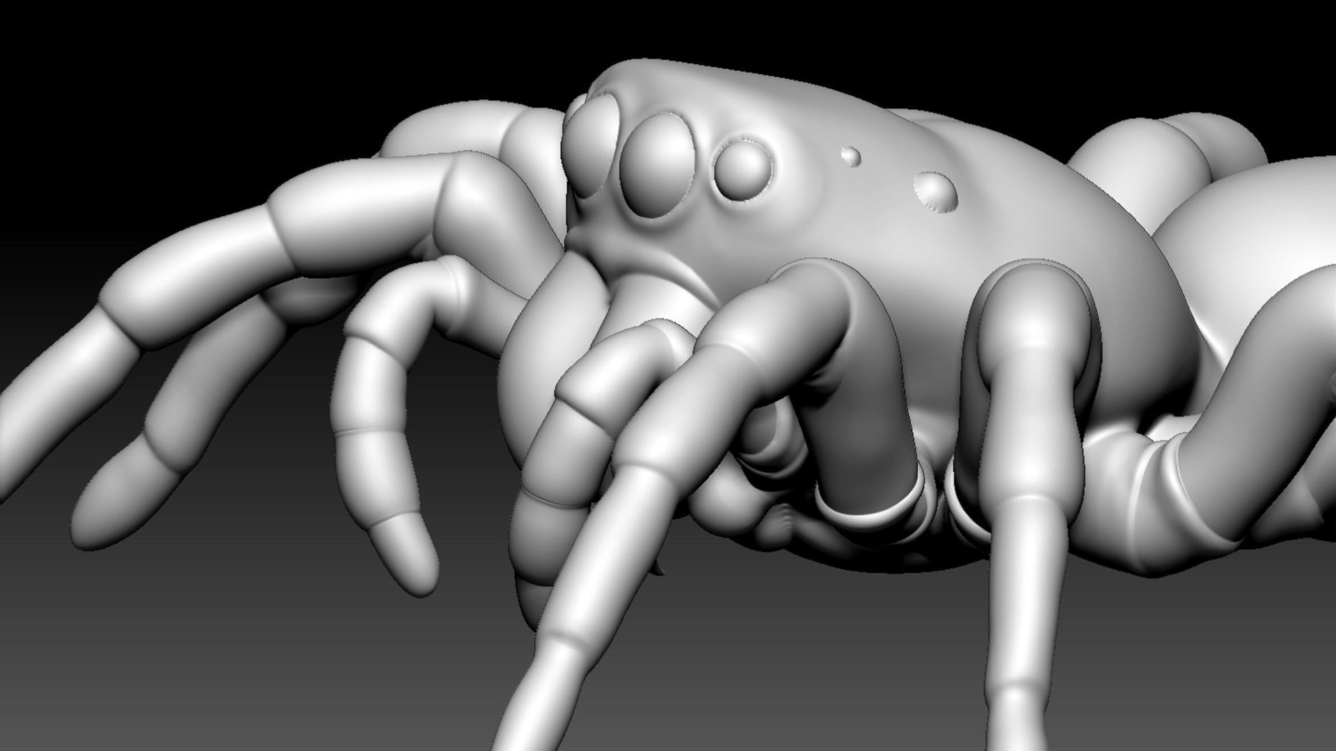 Spider Pack 3D model_77