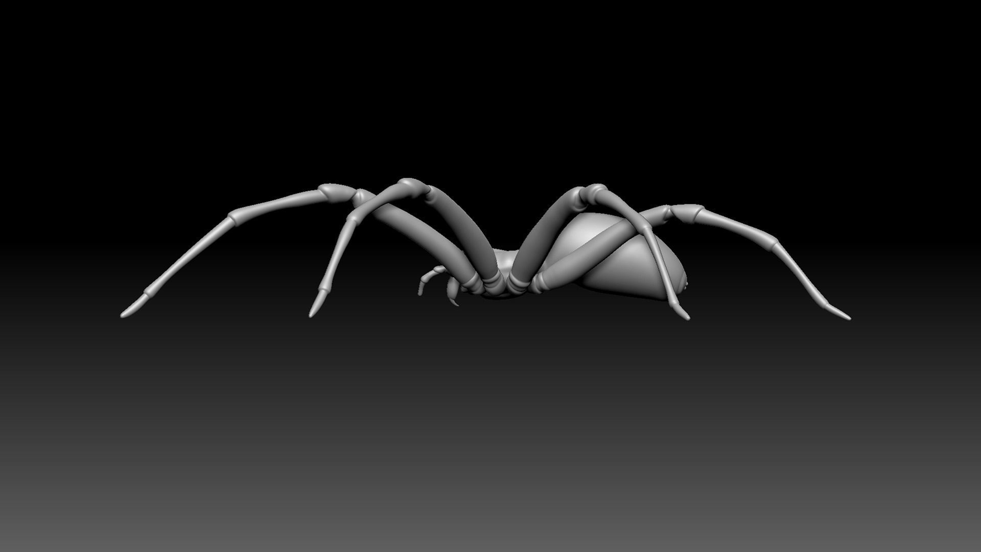 Spider Pack 3D model_137