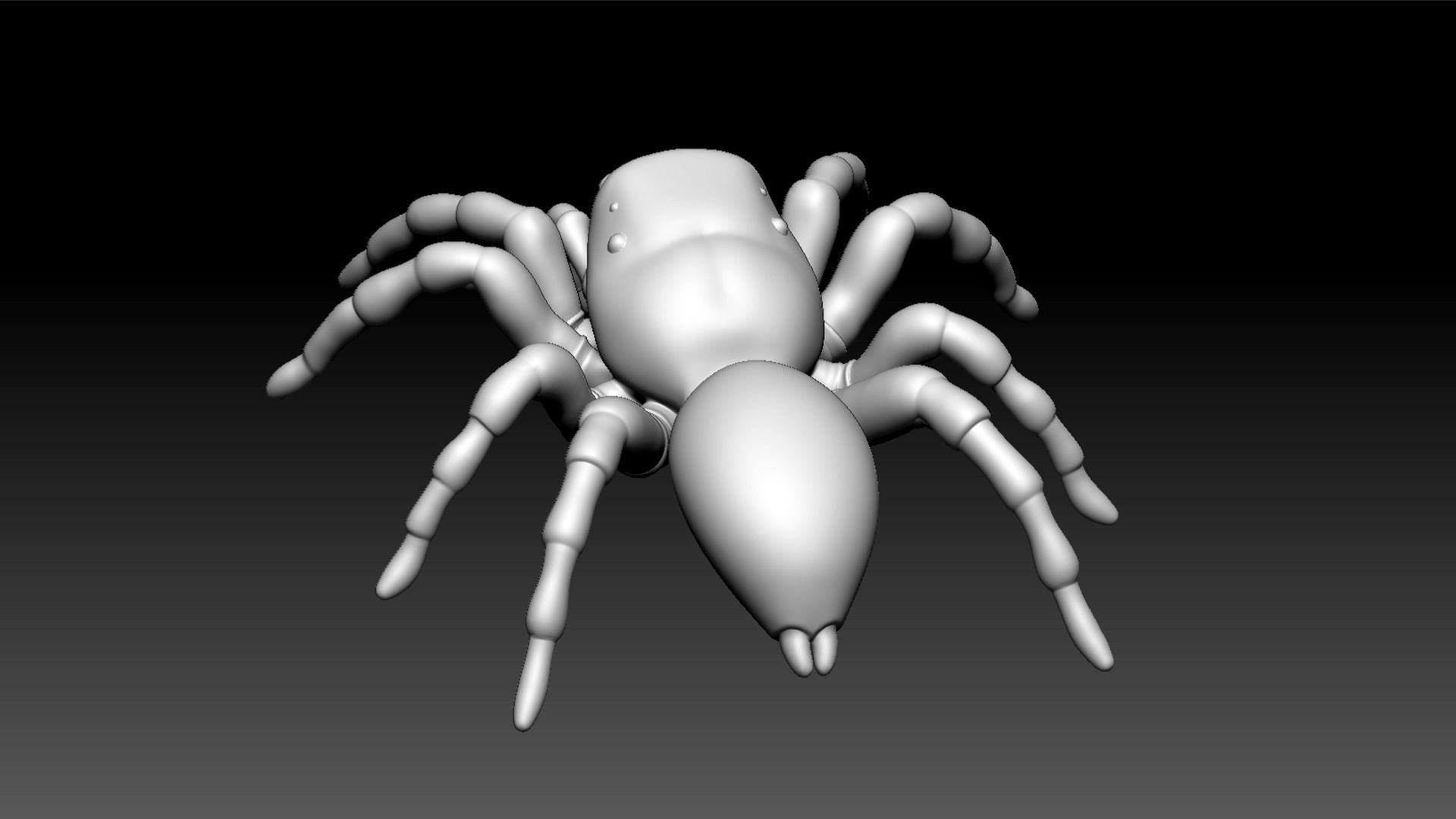 Spider Pack 3D model_75