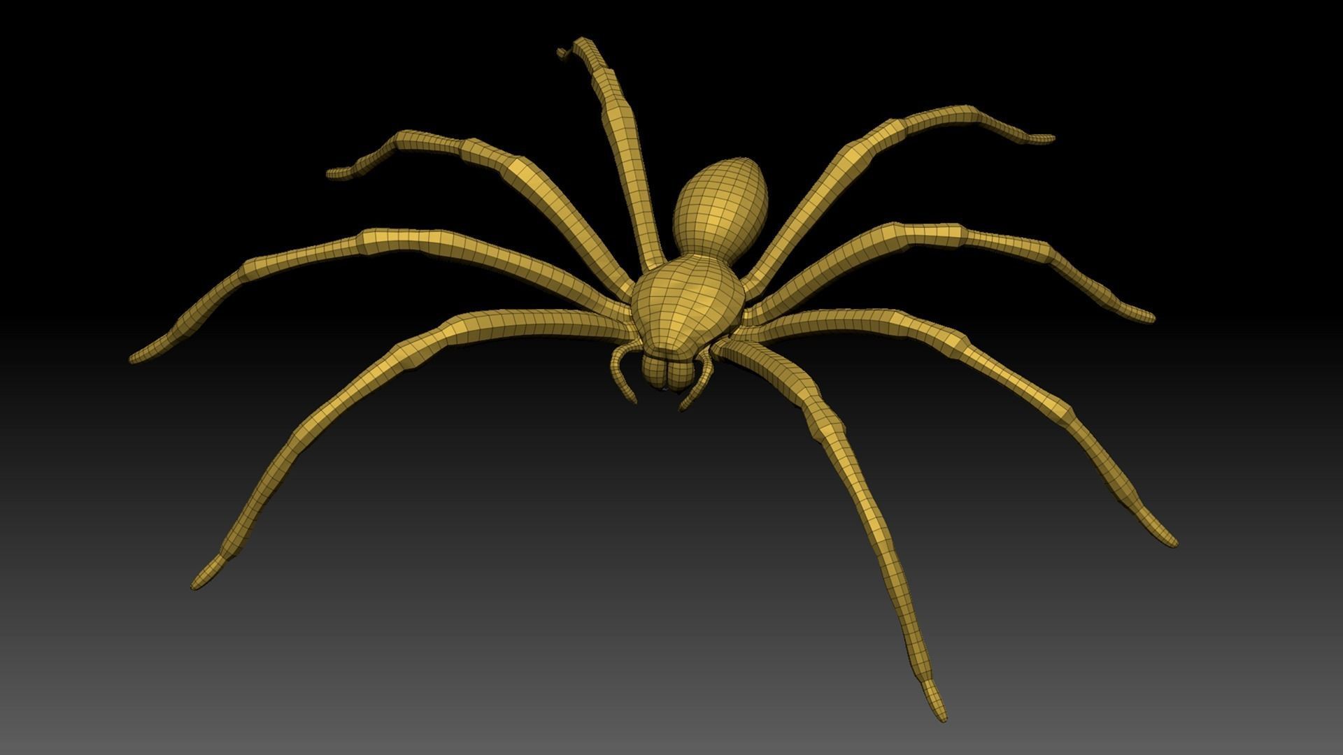 Spider Pack 3D model_27