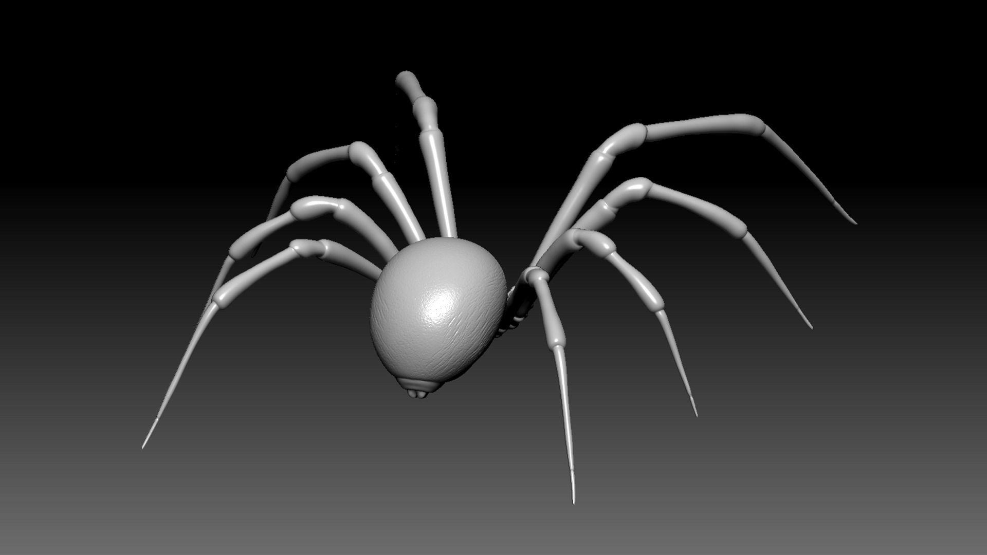 Spider Pack 3D model_10