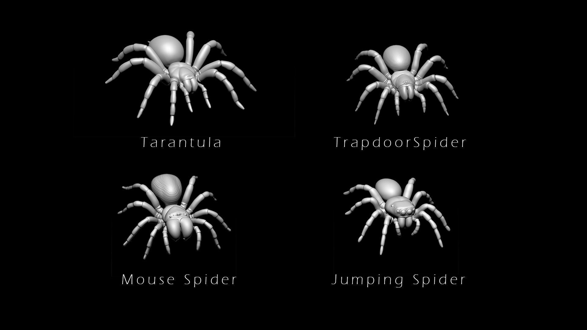 Spider Pack 3D model_1