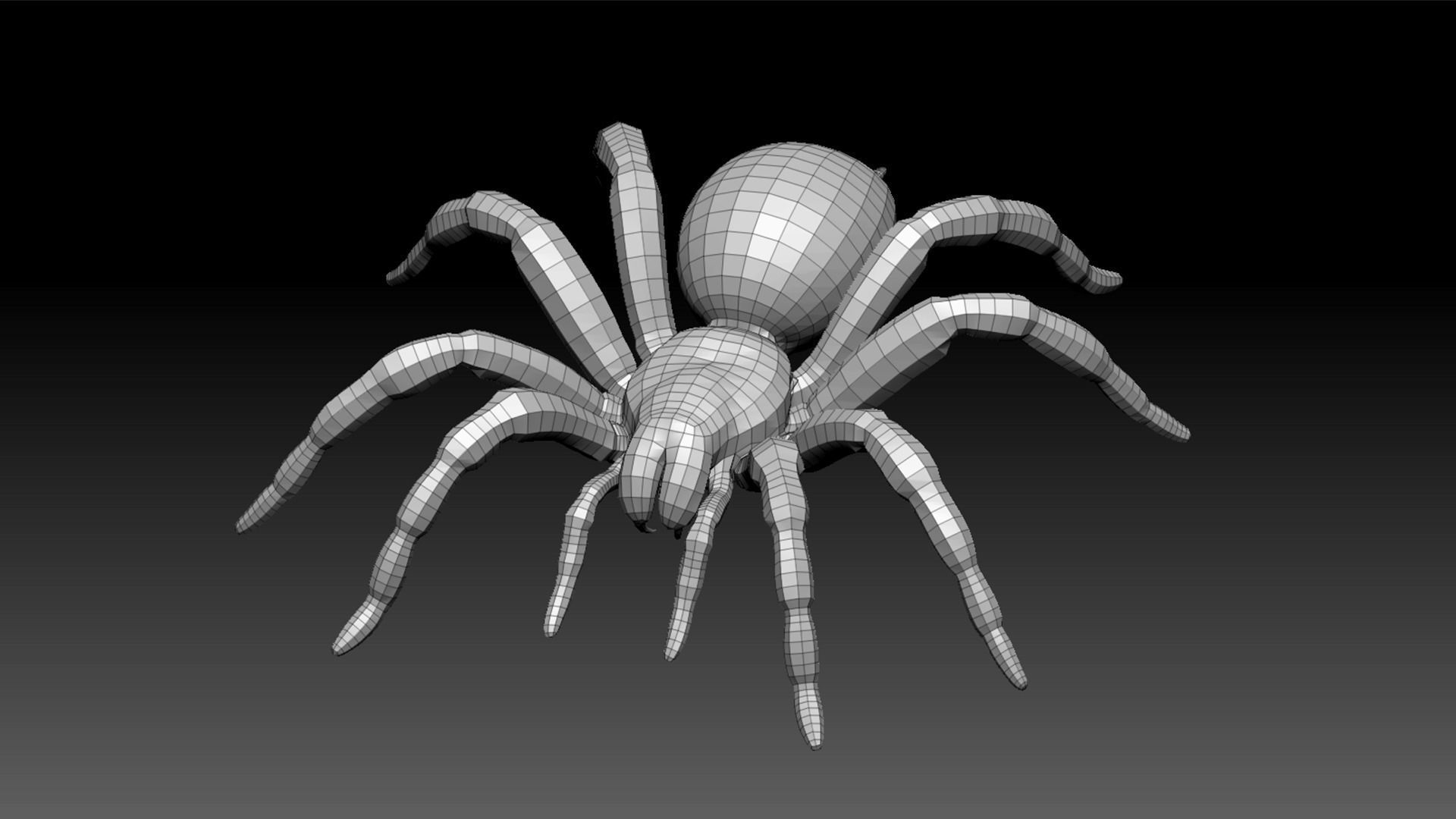 Spider Pack 3D model_54