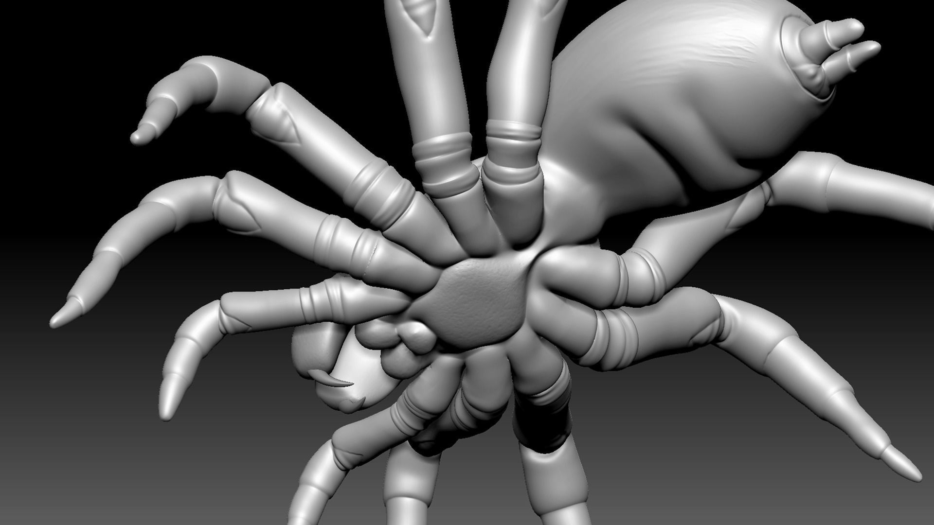Spider Pack 3D model_36