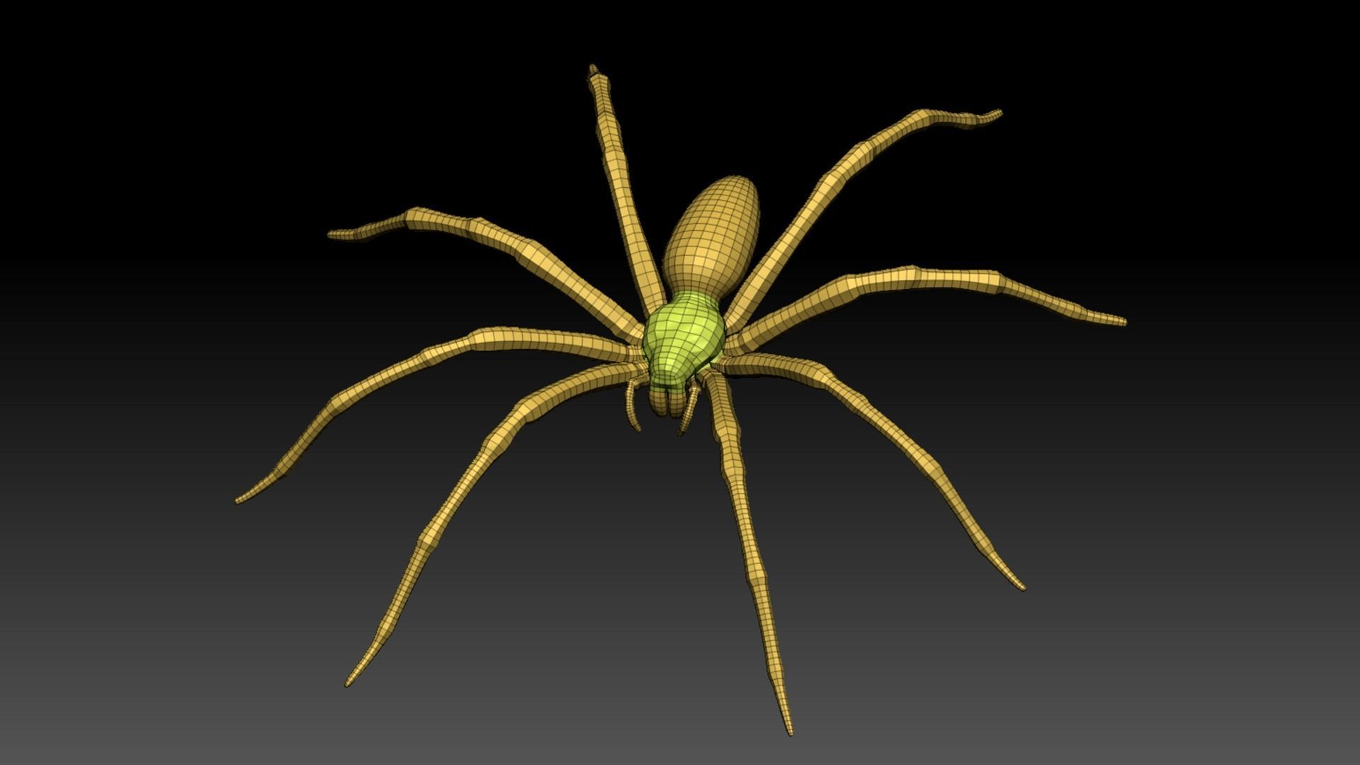 Spider Pack 3D model_110