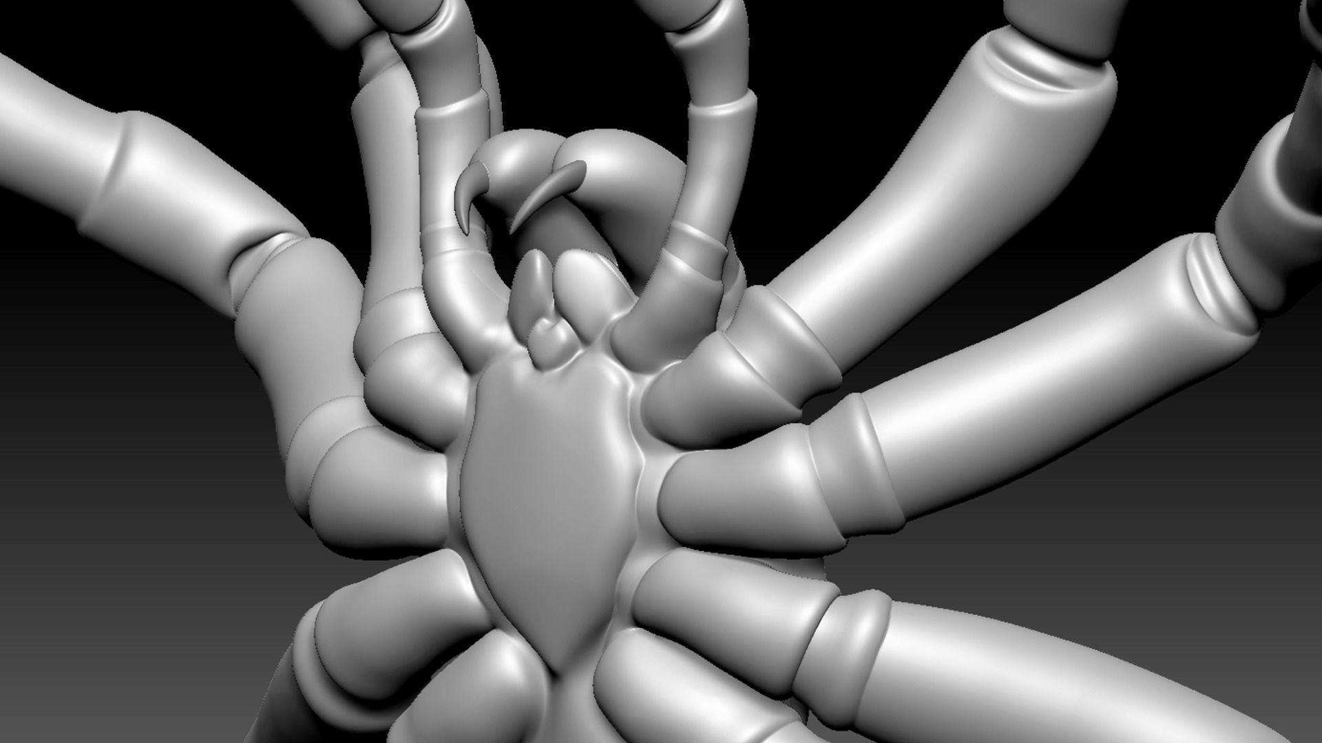 Spider Pack 3D model_51