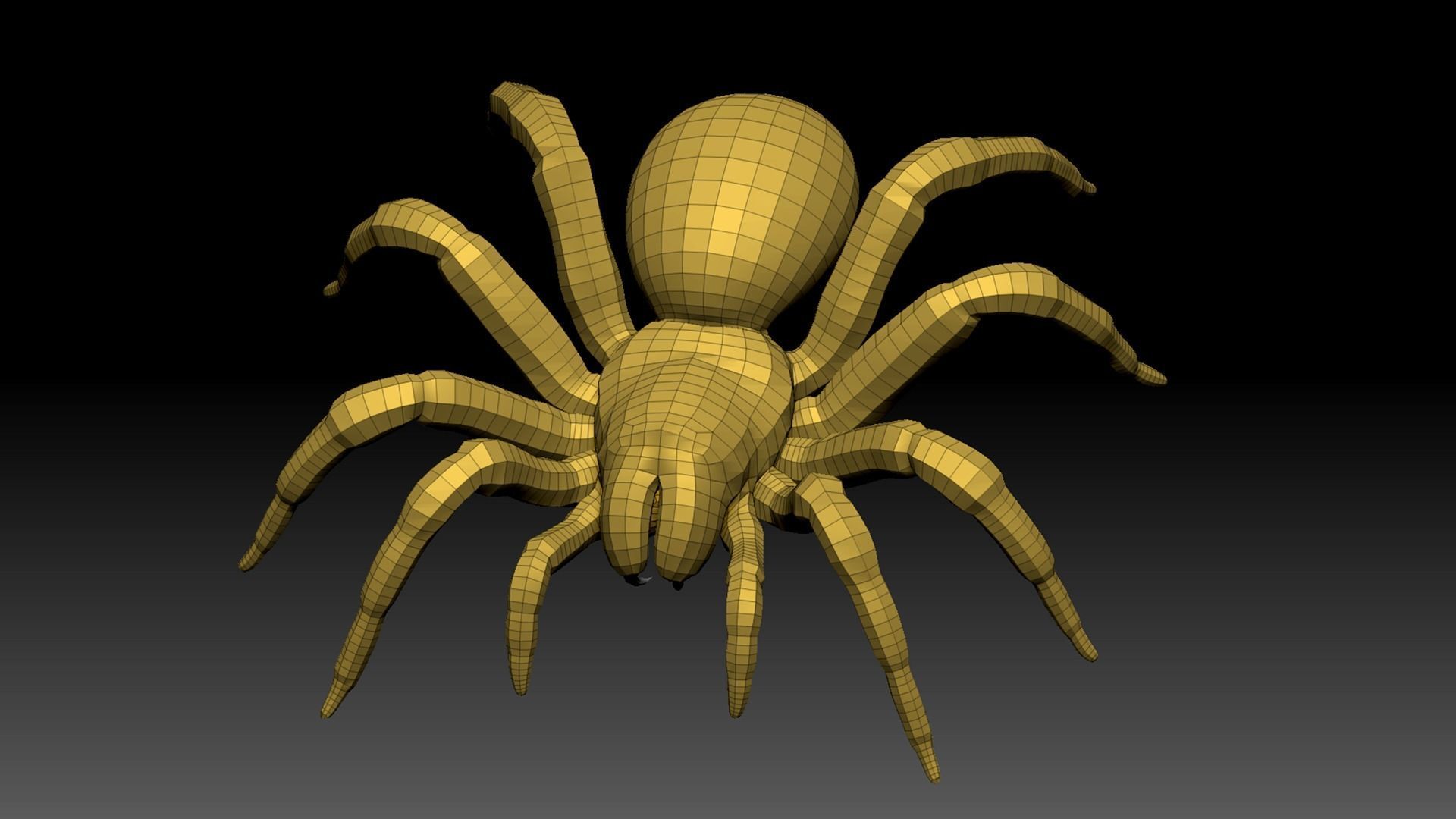Spider Pack 3D model_43