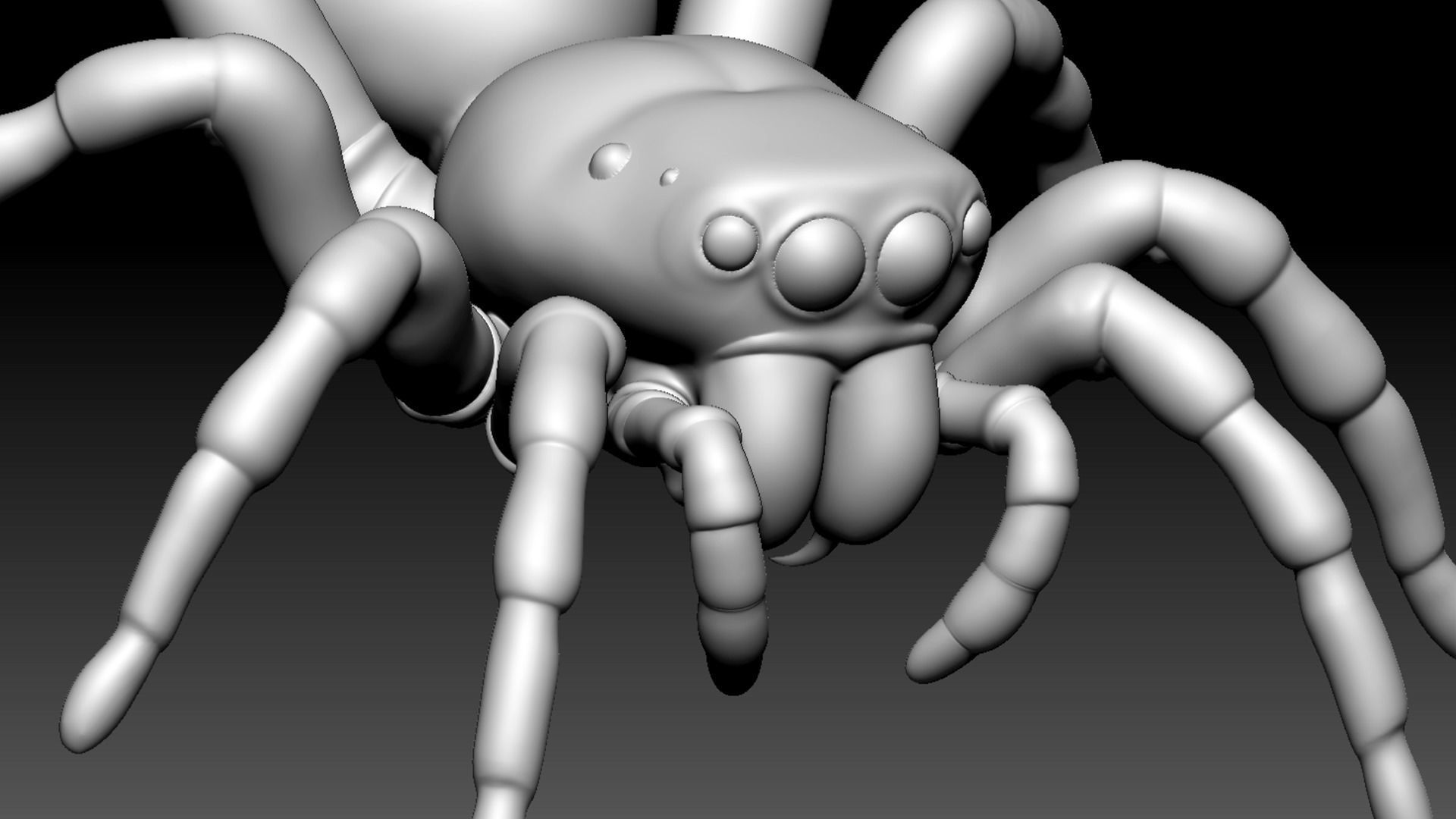 Spider Pack 3D model_72
