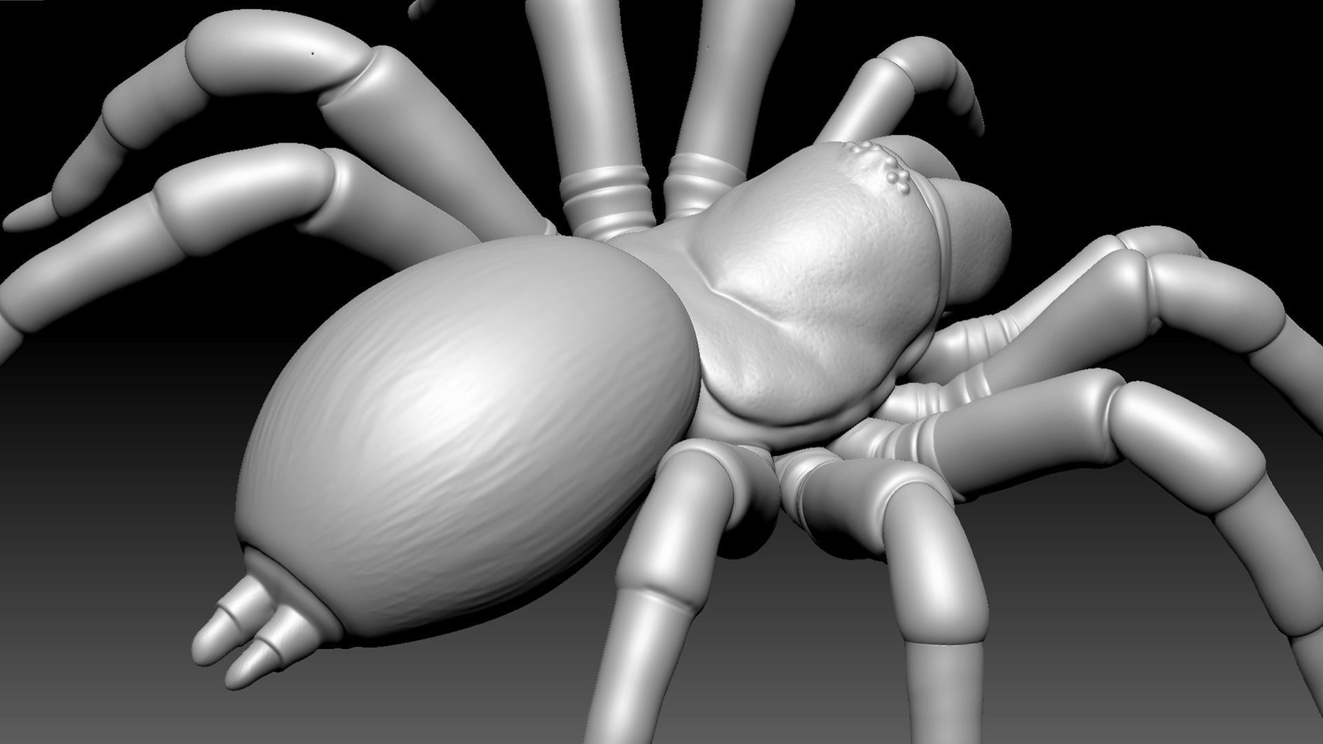 Spider Pack 3D model_41