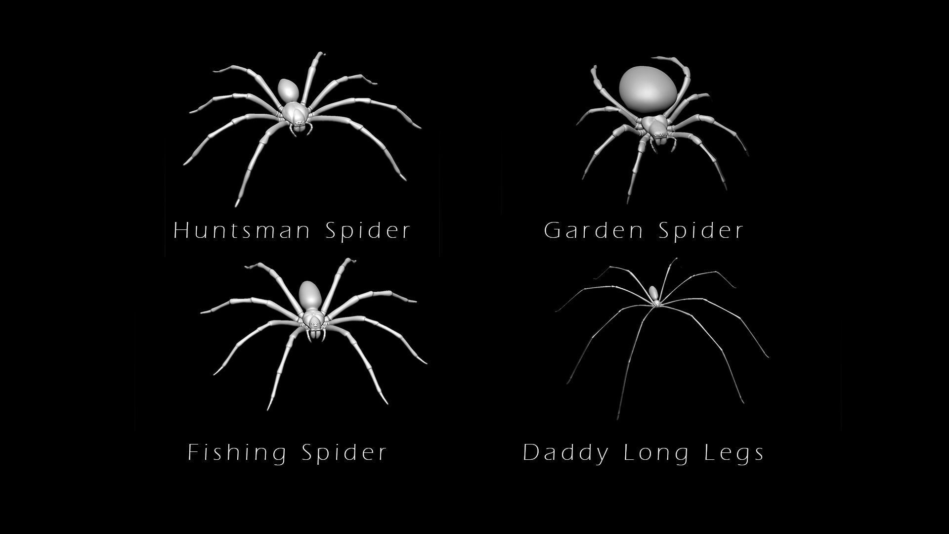 Spider Pack 3D model_2