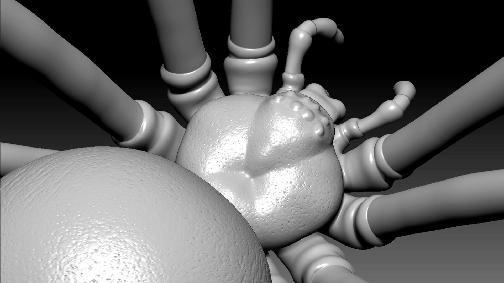 Spider Pack 3D model_11