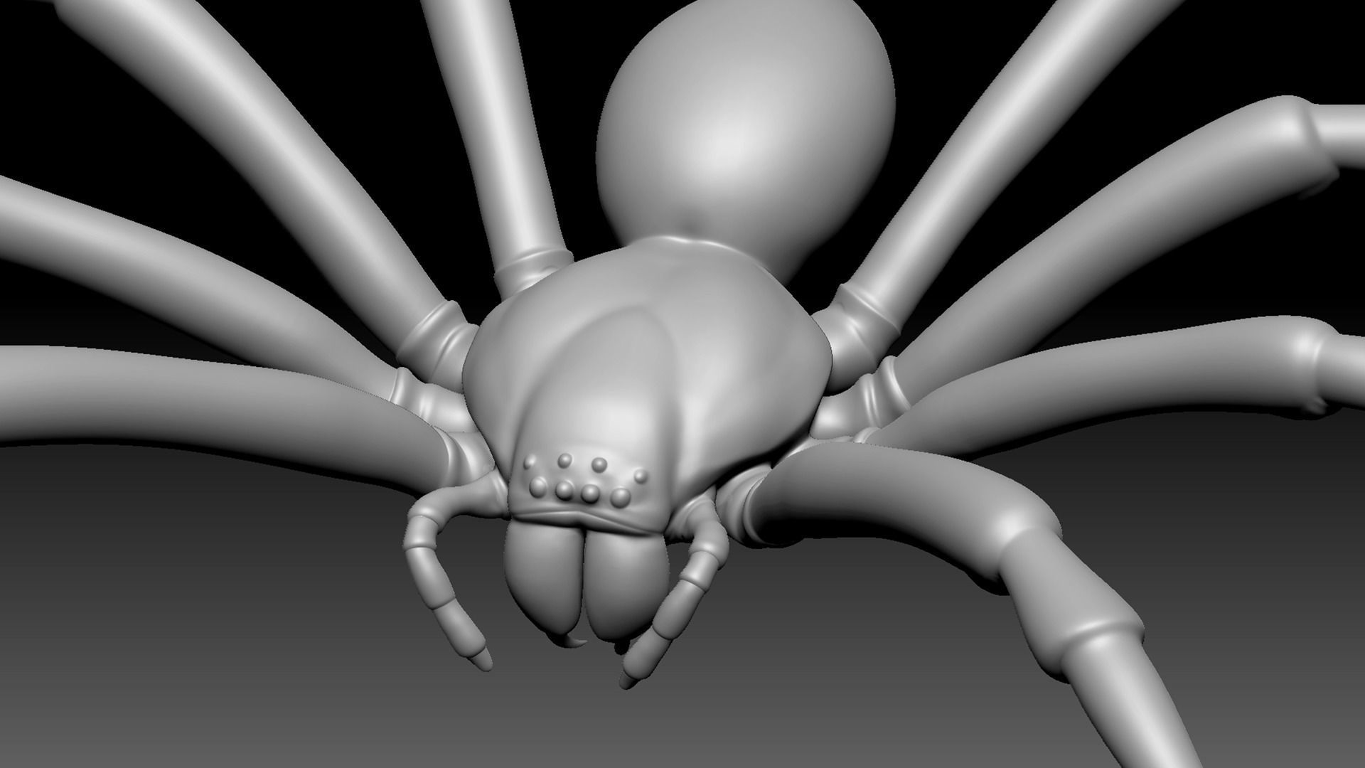 Spider Pack 3D model_25