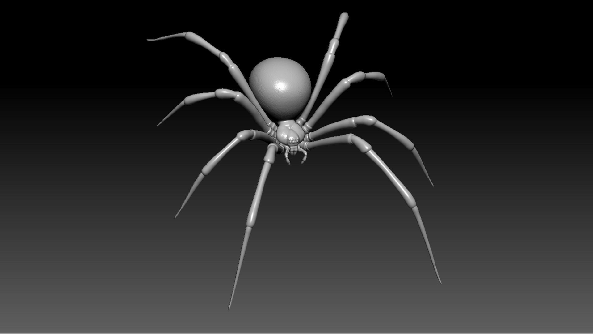 Spider Pack 3D model_4