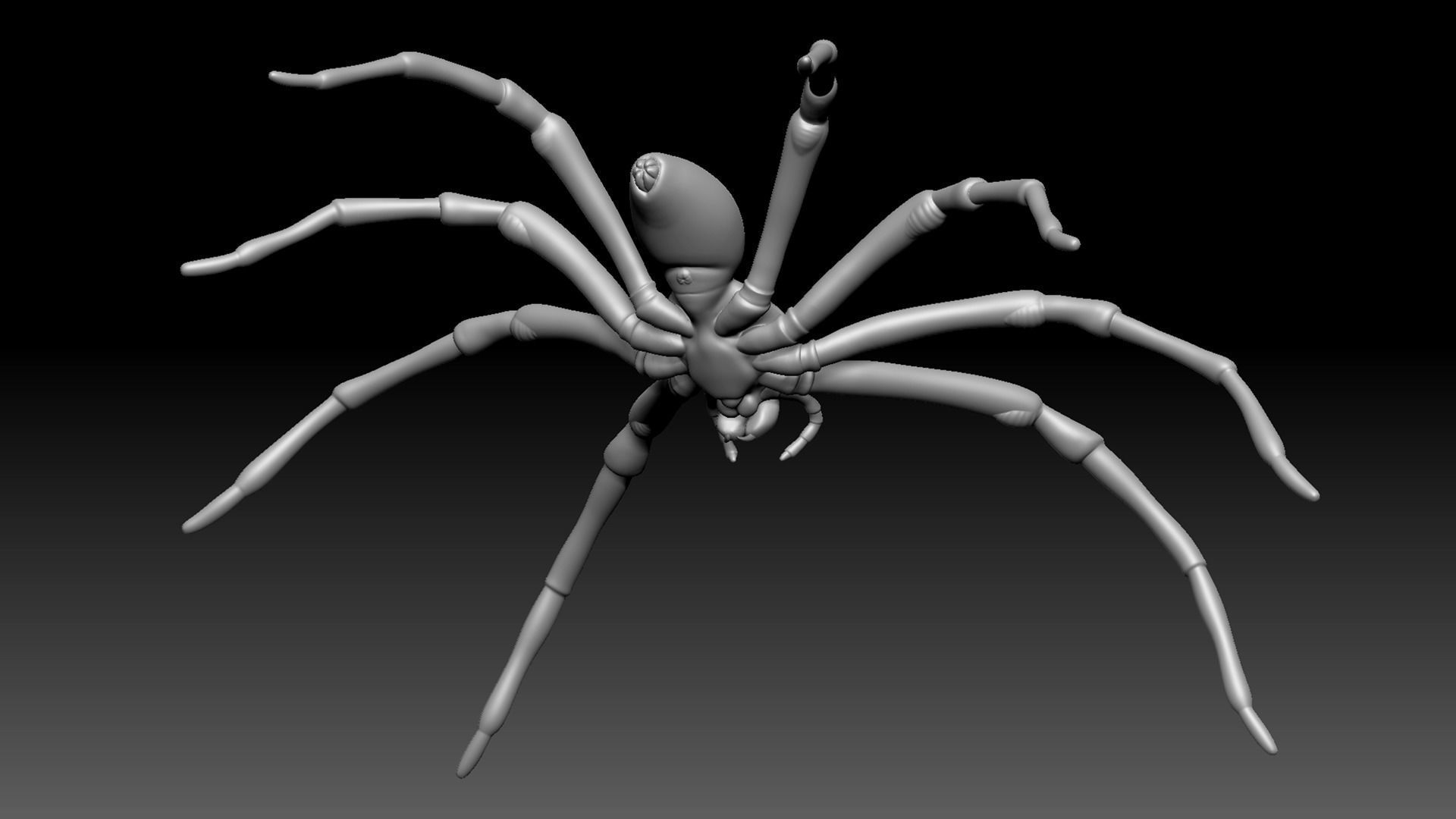 Spider Pack 3D model_18