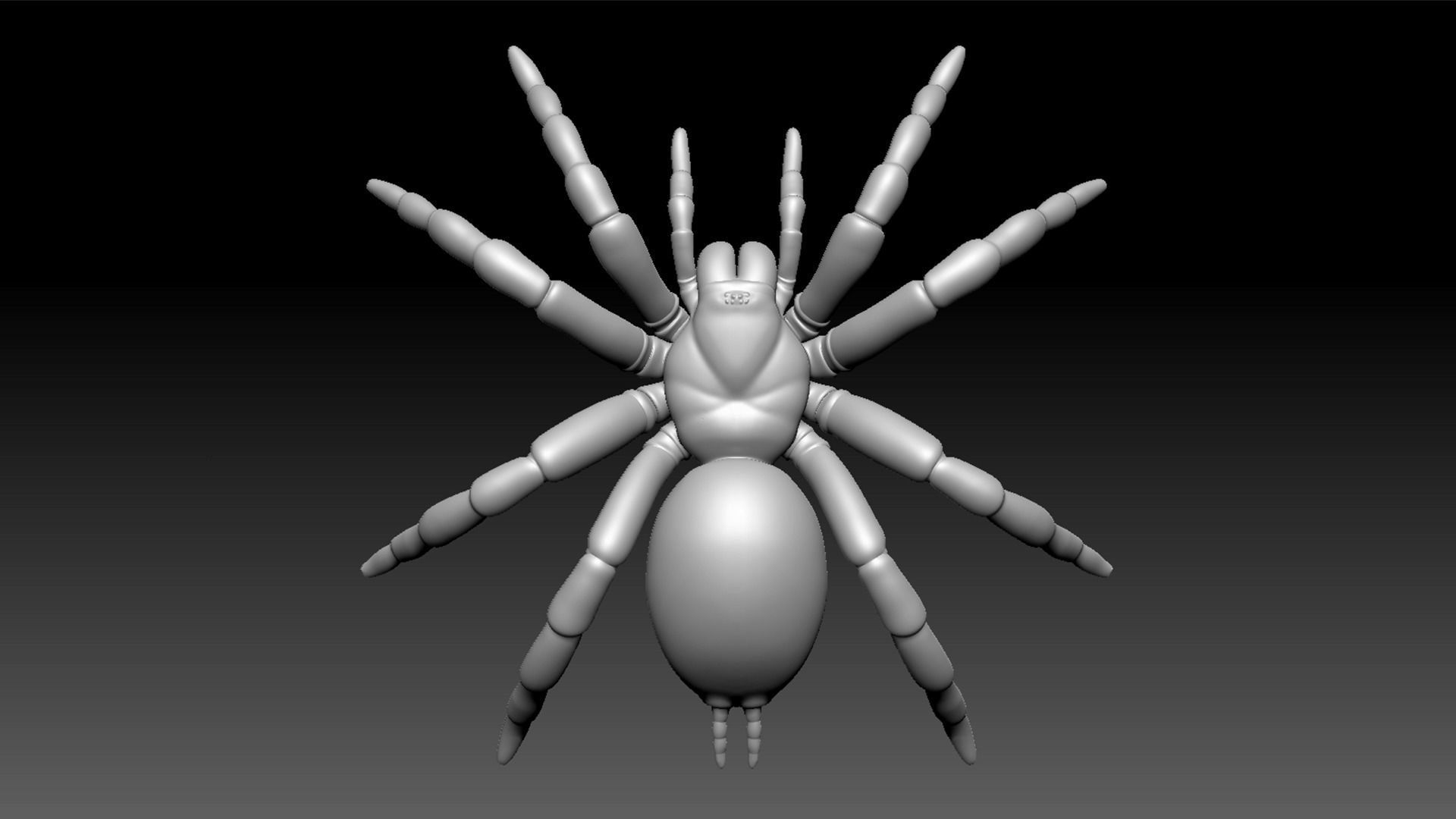 Spider Pack 3D model_52
