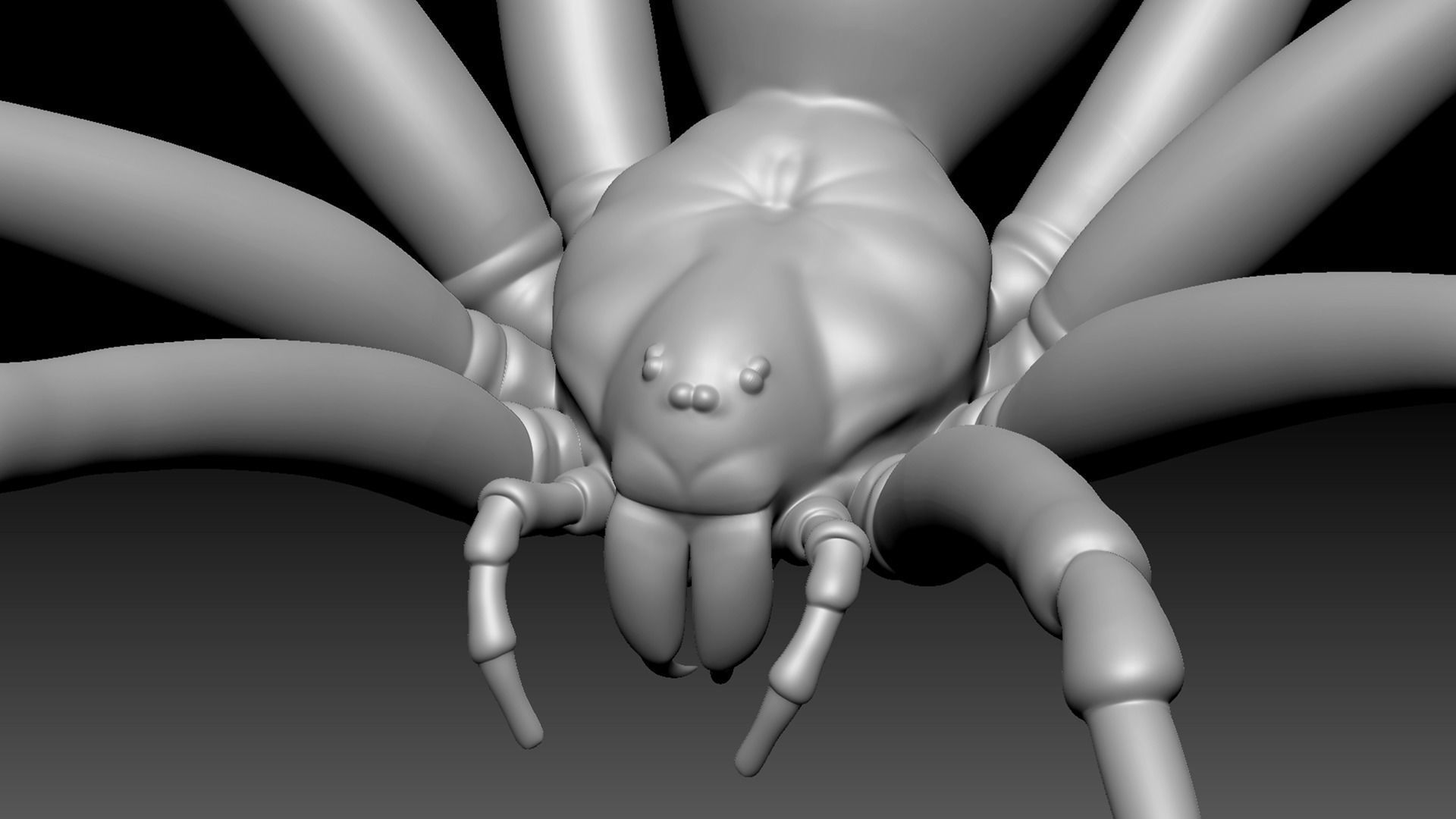 Spider Pack 3D model_132