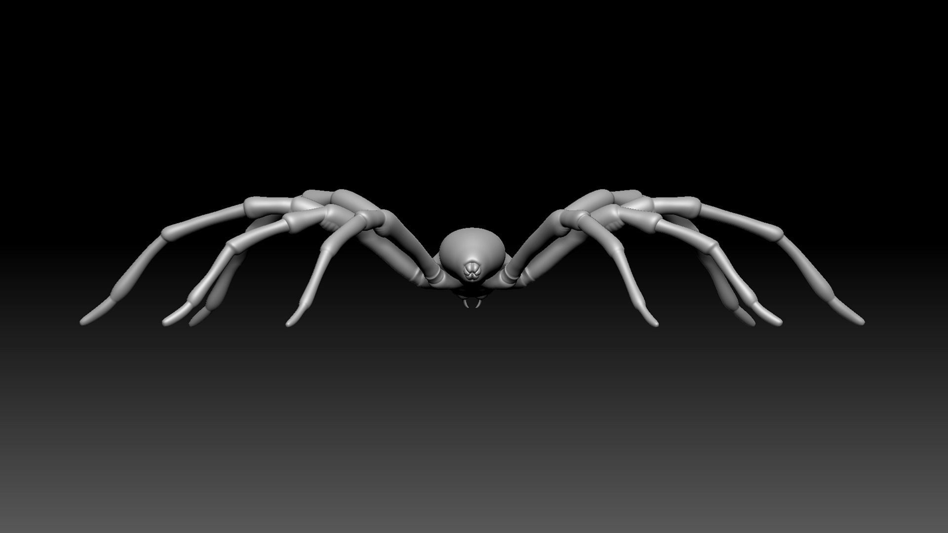 Spider Pack 3D model_17