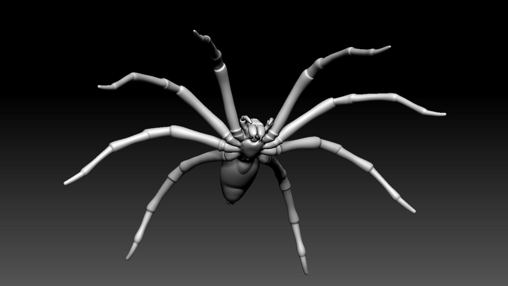 Spider Pack 3D model_101
