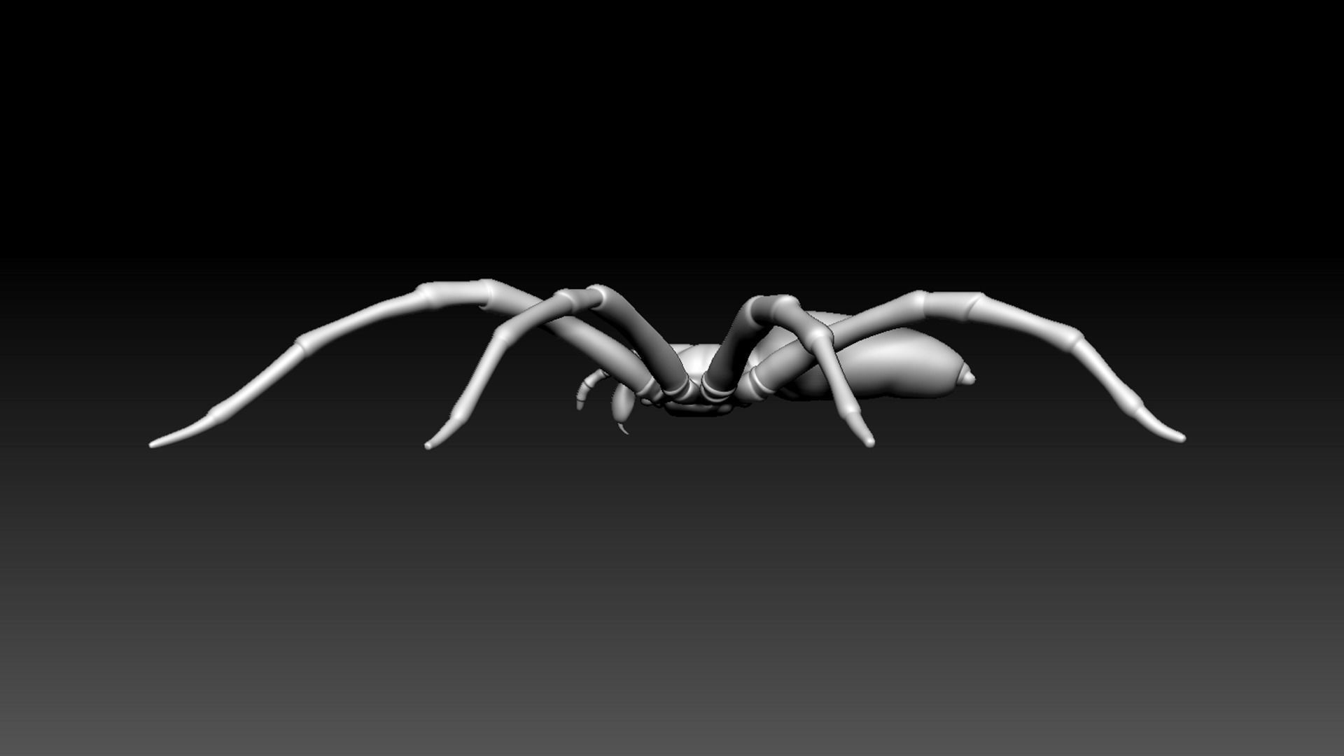 Spider Pack 3D model_108