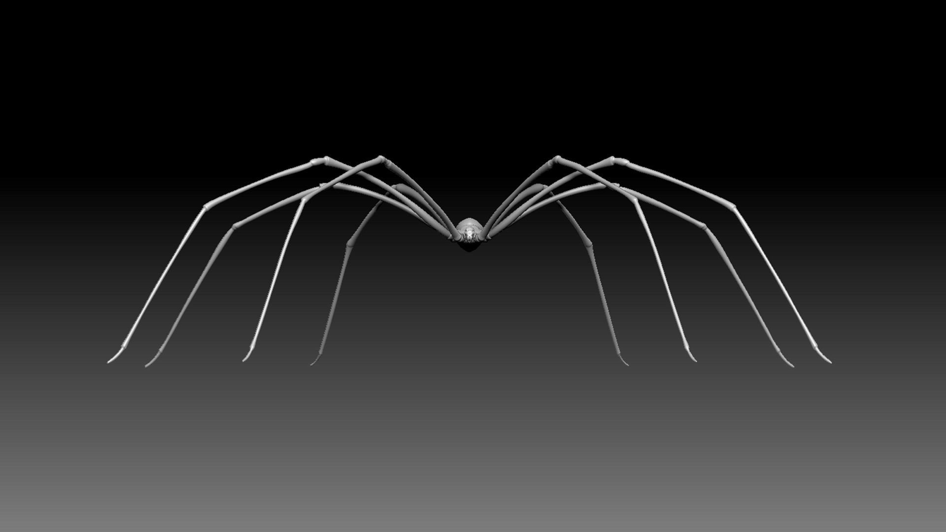 Spider Pack 3D model_114