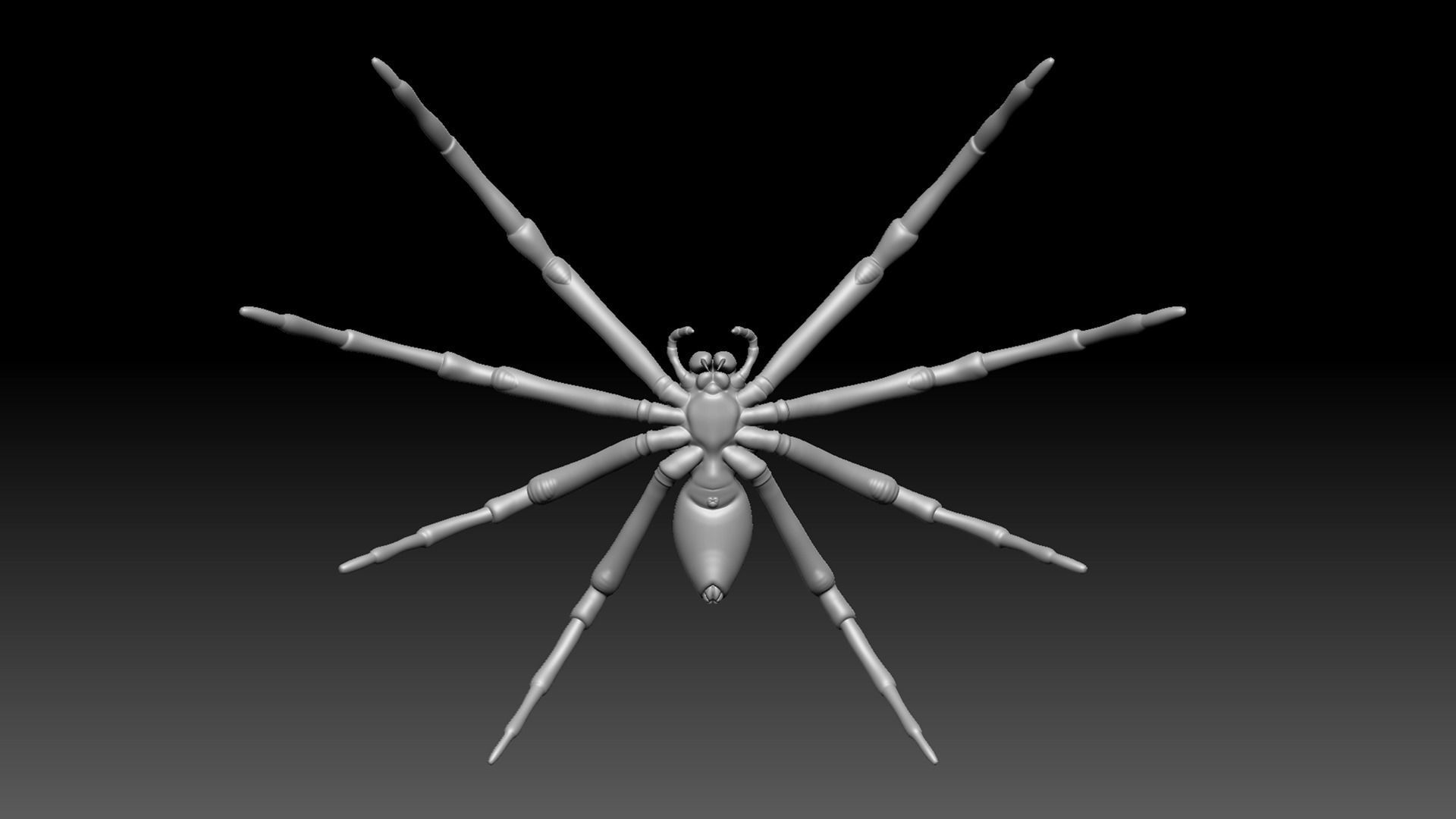 Spider Pack 3D model_21
