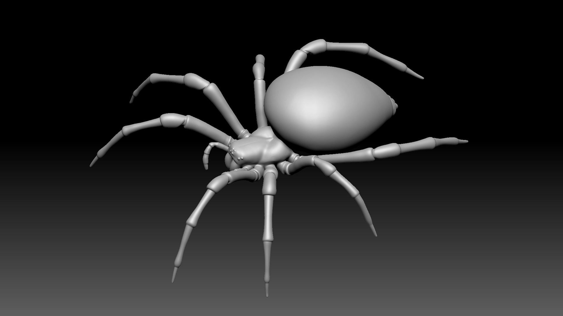 Spider Pack 3D model_92