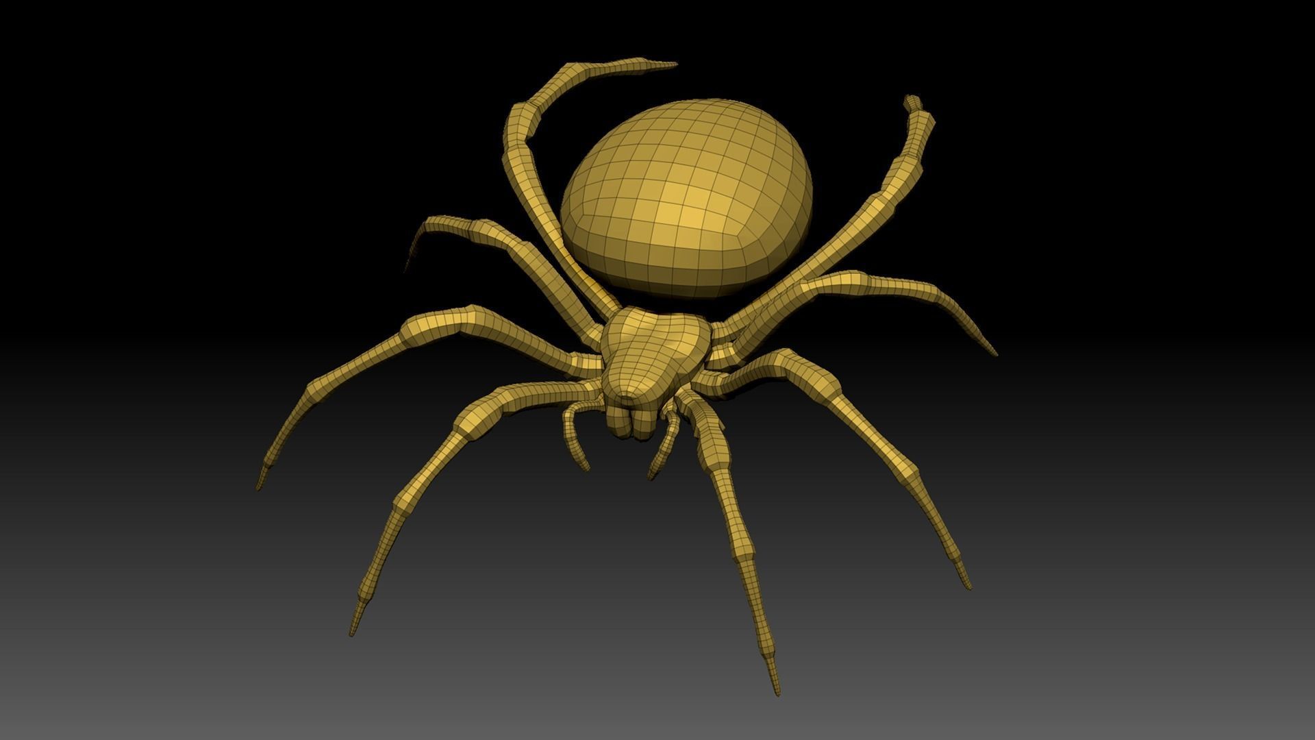 Spider Pack 3D model_95