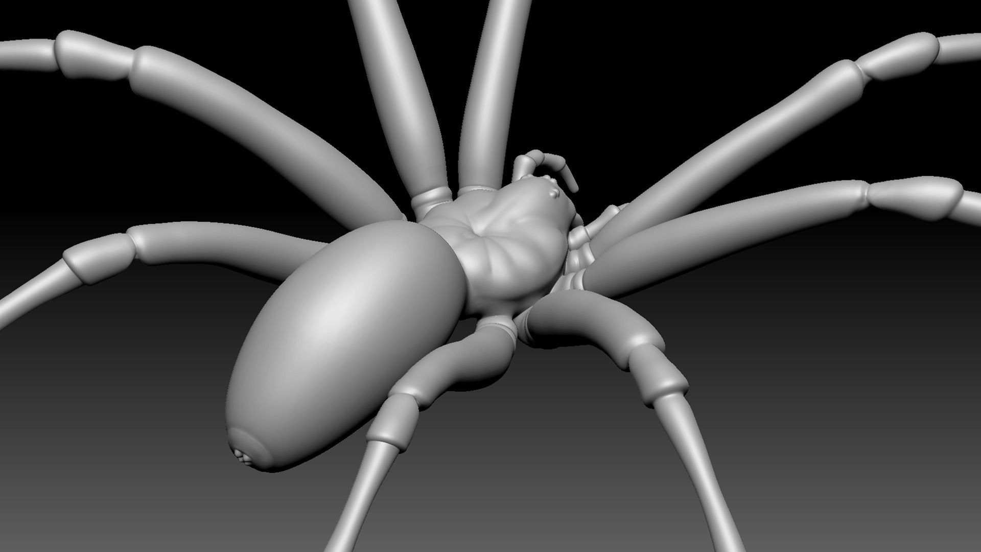 Spider Pack 3D model_129