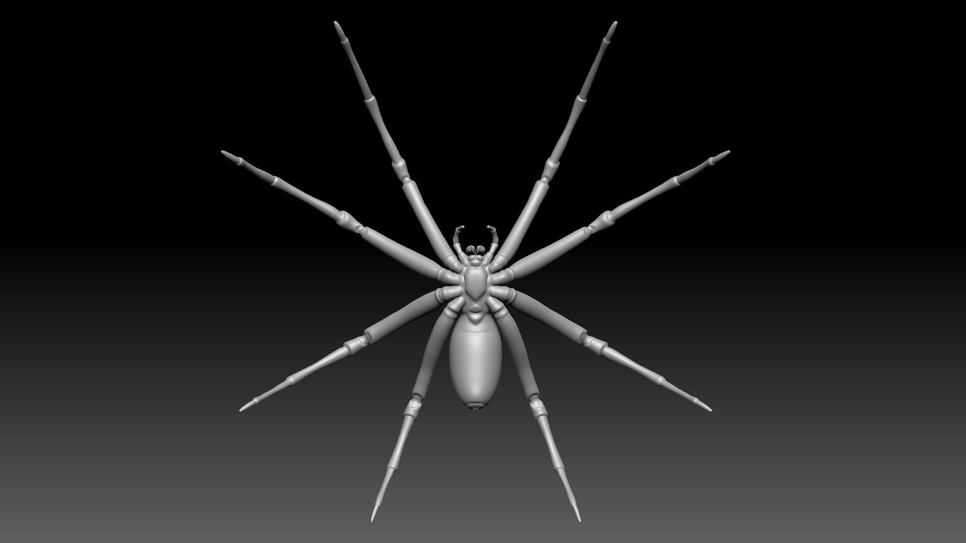 Spider Pack 3D model_128
