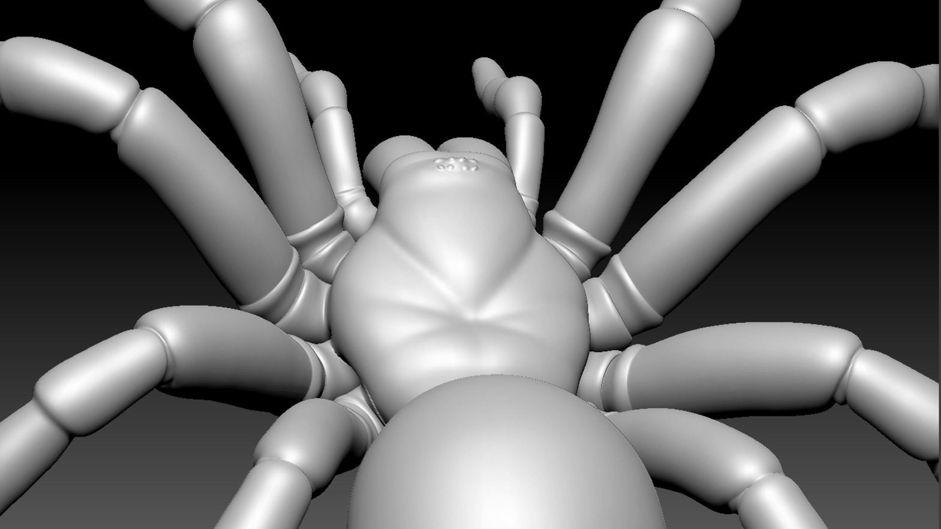 Spider Pack 3D model_55