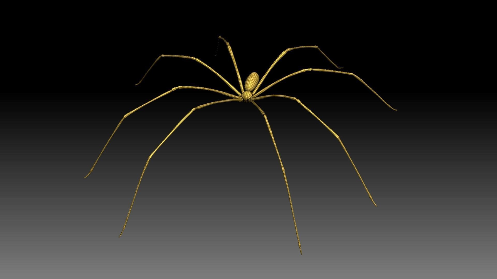 Spider Pack 3D model_125