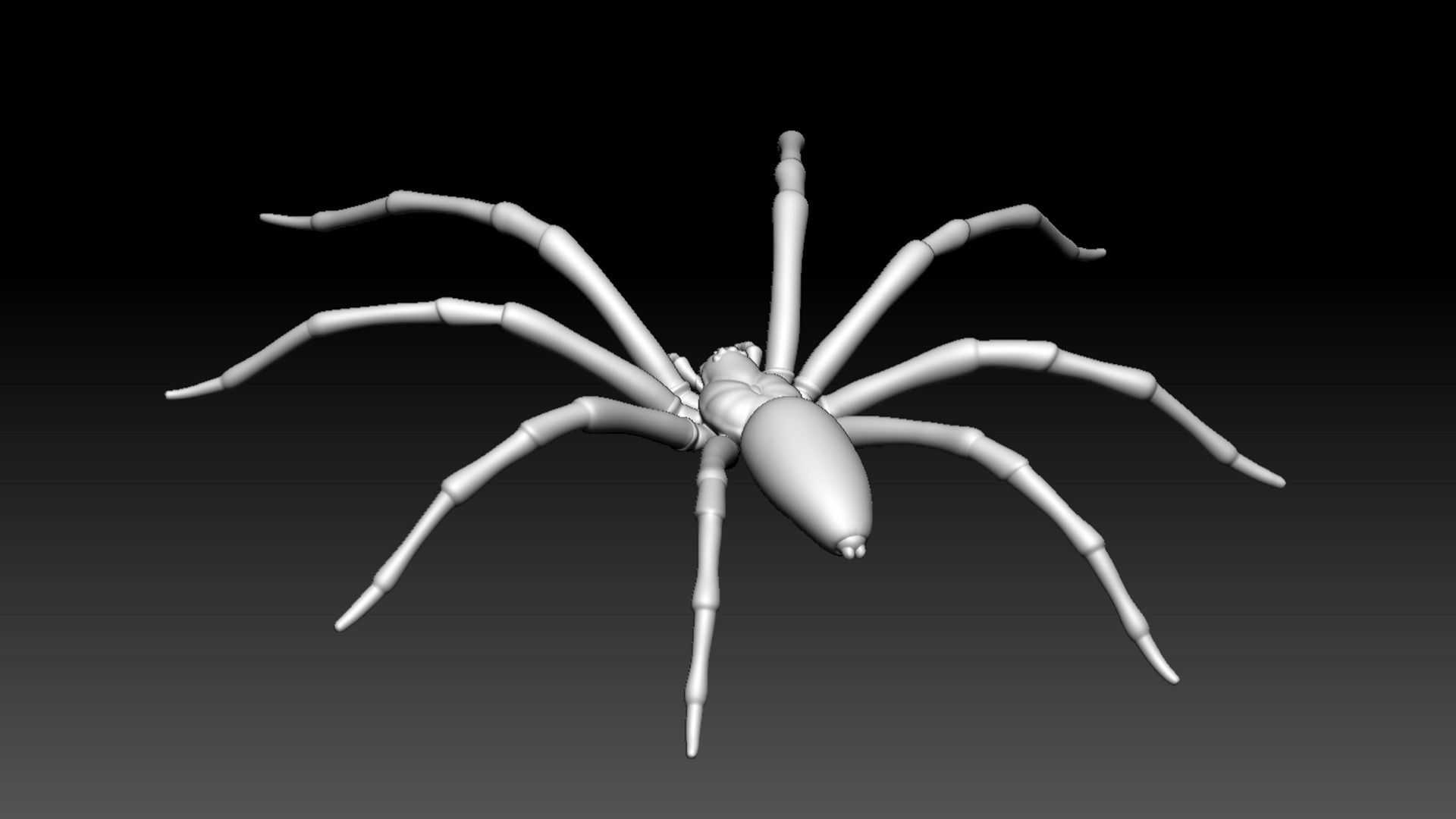 Spider Pack 3D model_99