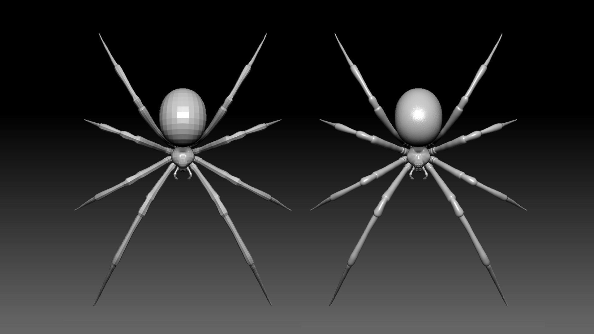 Spider Pack 3D model_6