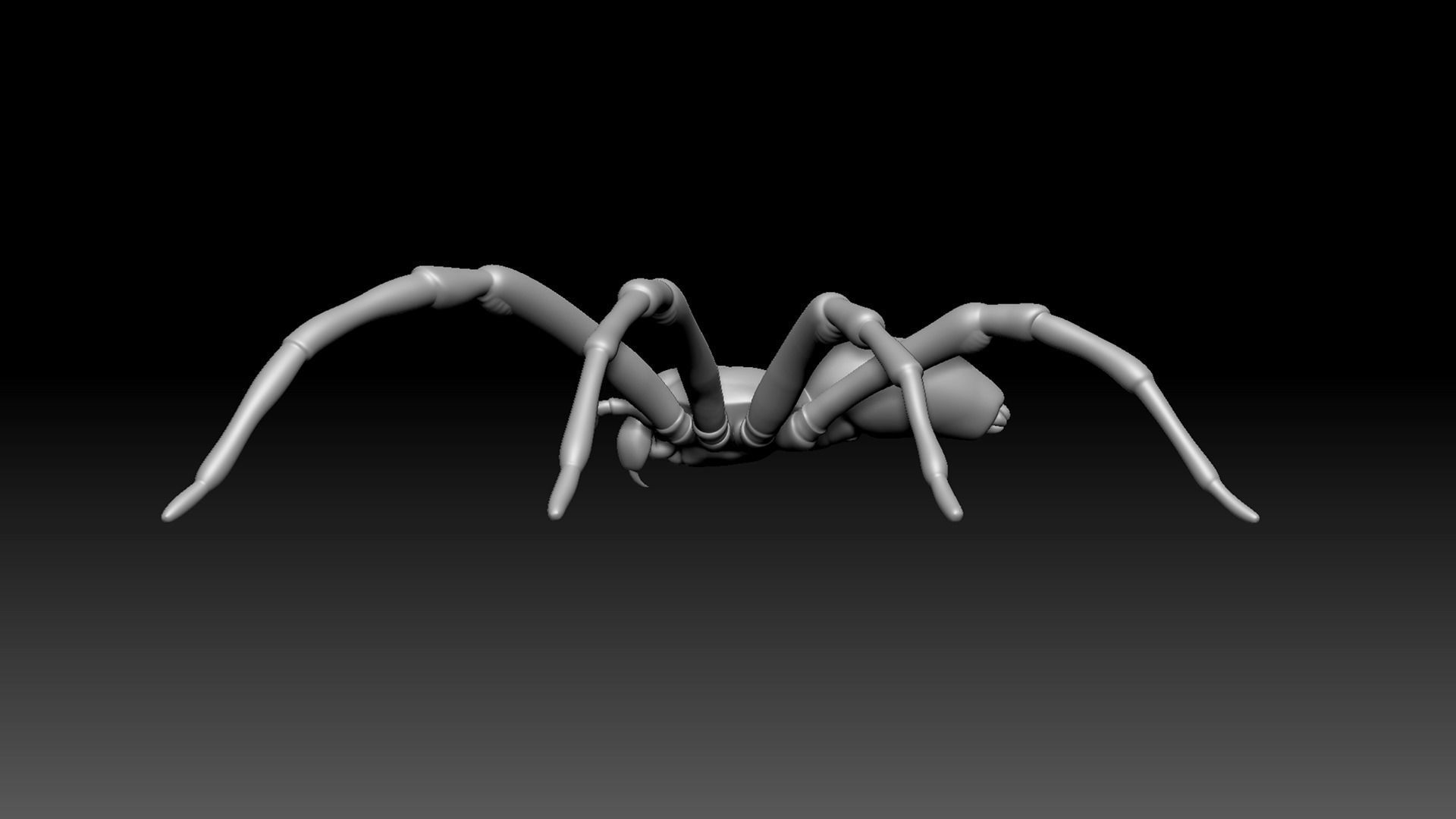Spider Pack 3D model_19