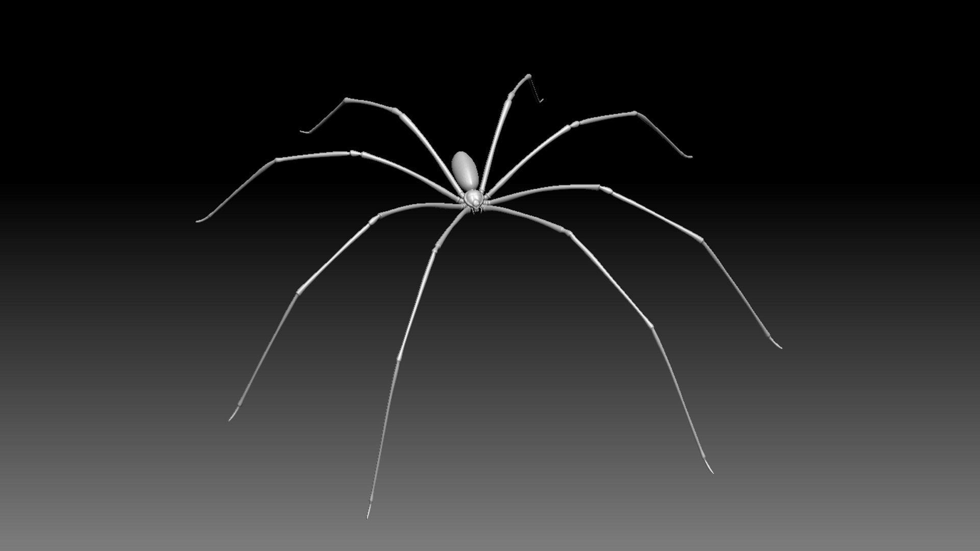 Spider Pack 3D model_115