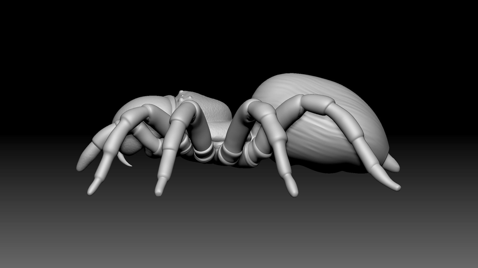 Spider Pack 3D model_57