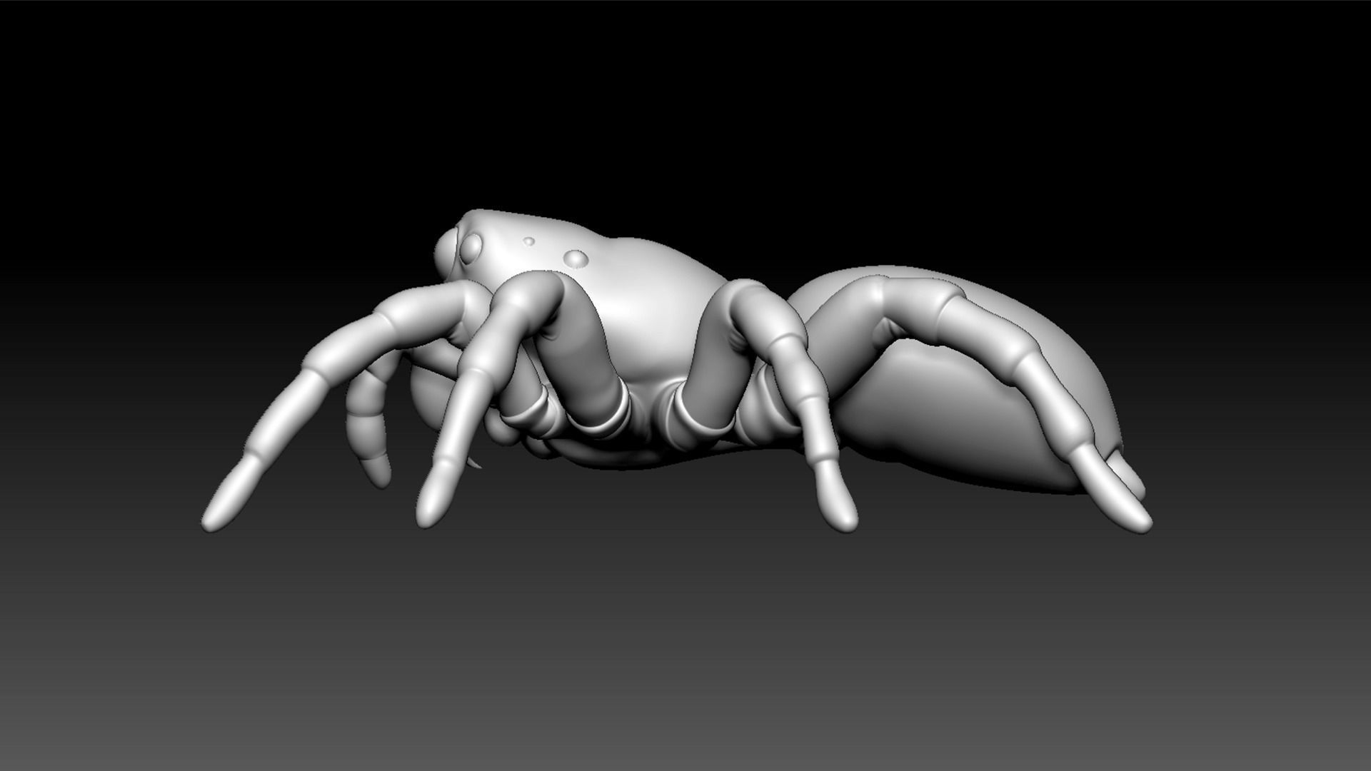 Spider Pack 3D model_76