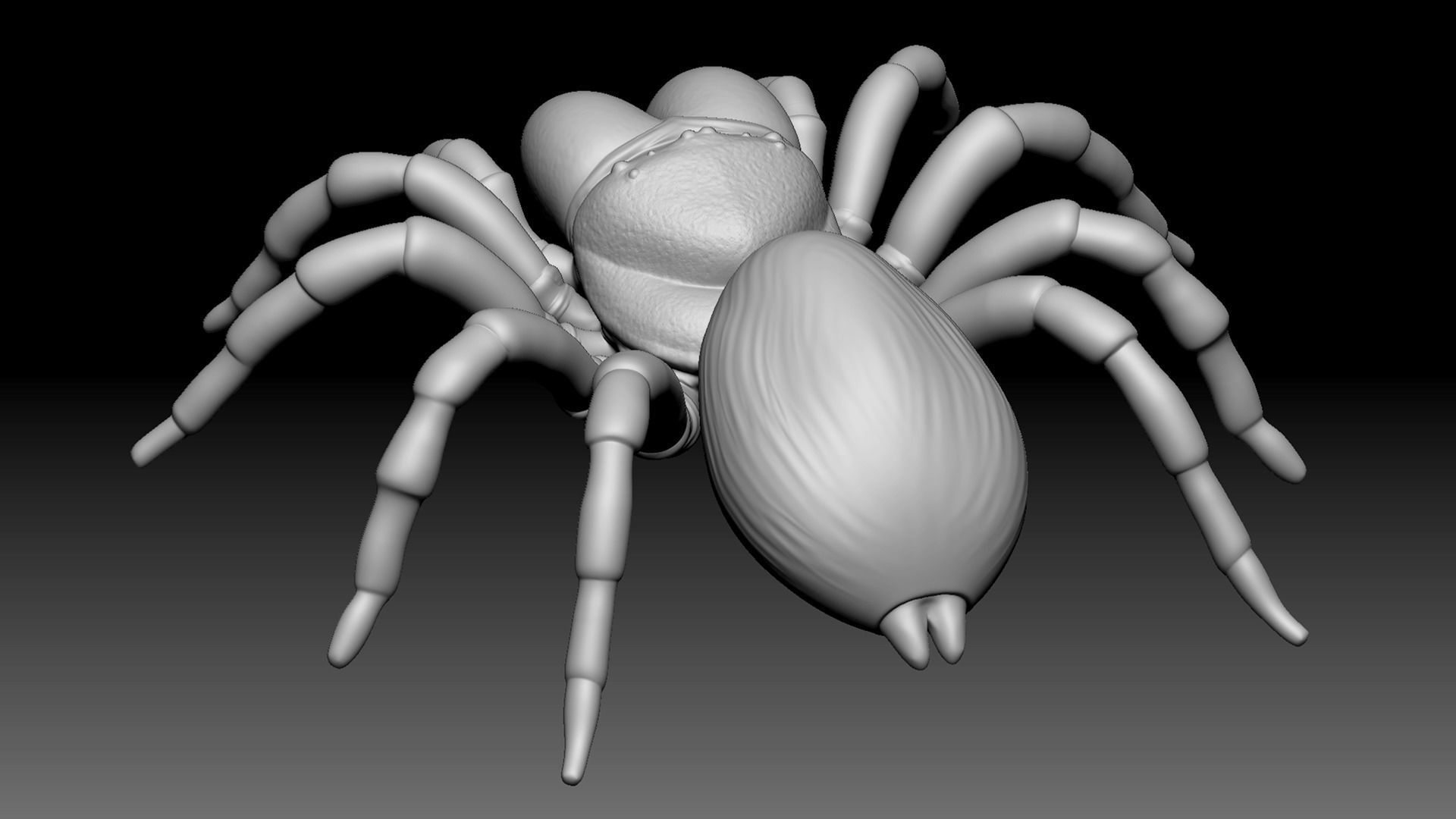 Spider Pack 3D model_63
